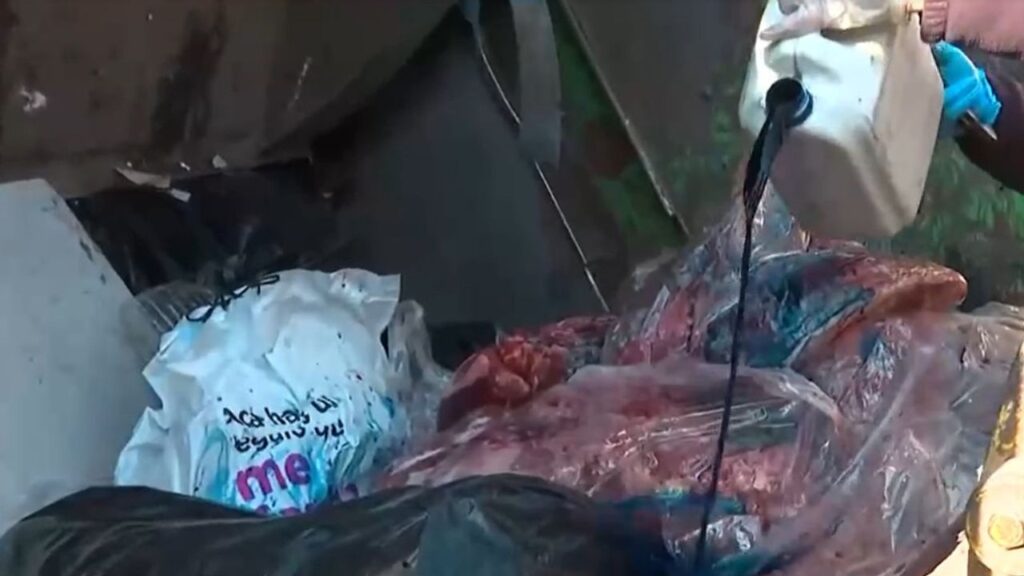 Fuerte olor permitió descubrir bodega clandestina con más de 500 kilos de carne en mal estado en Peñaflor